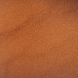 Burnished Brown