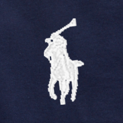 Cruise Navy