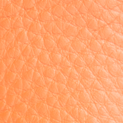Bittersweet Orange