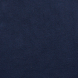 Cruise Navy