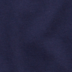 Cruise Navy