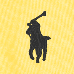 Signal Yellow