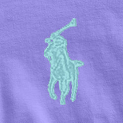 Cactus Purple