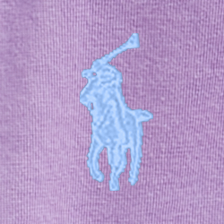 Cactus Purple/Light Blue