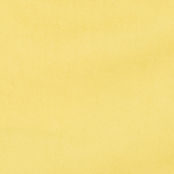 Beach Yellow
