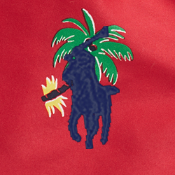 Tropical Surfer