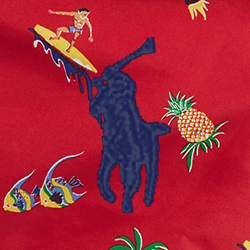 Tropical Surfer