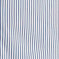 Blue/White