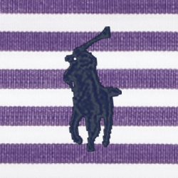 Purple / White