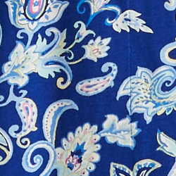 Blue Paisley