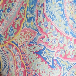 Multi Paisley