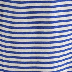 Blue Stripe