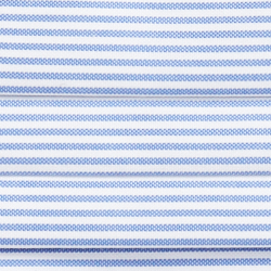 Blue/White