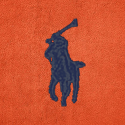 Arancio equestre