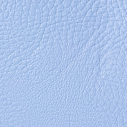 Cbna Blue/Eqst Blt Cbna B