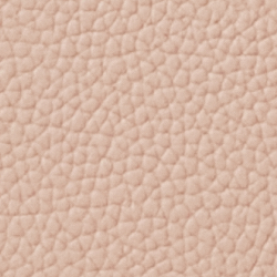 Ballet Pink