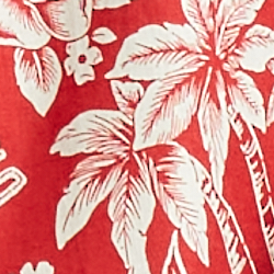 Rl2000 Red Hawaiian Bear
