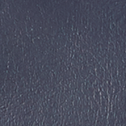 Newport Navy/RL2000 Red