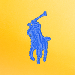 Yellow Fin/Bright Blue Pp