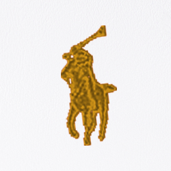 White / Gold Pp