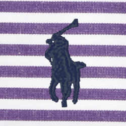 Purple / White