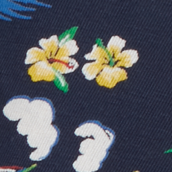 Cruise Navy Ralph Hawaiia