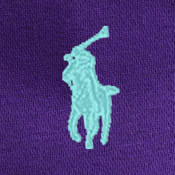 Purple Cactus