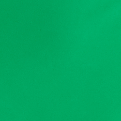 Stem