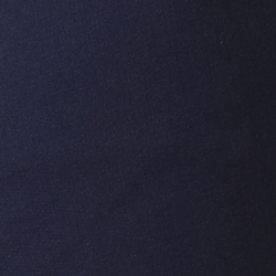 Bright Navy