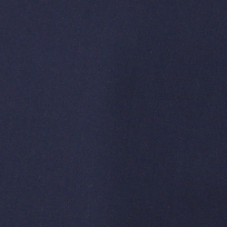 Bright Navy