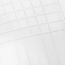 Studio White