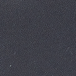 Marine Navy/Lux Cream