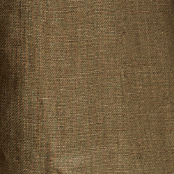 Basic Olive