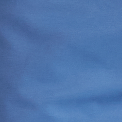 Bastille Blue
