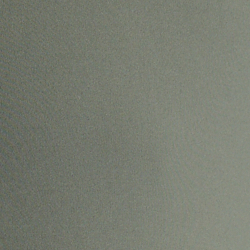 Fossil Green