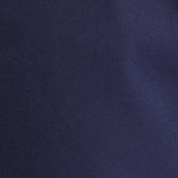Refined Navy