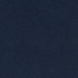 Navy/Gold