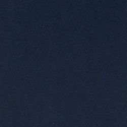 Navy/Gold