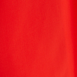 Strahlendes Hibiskus