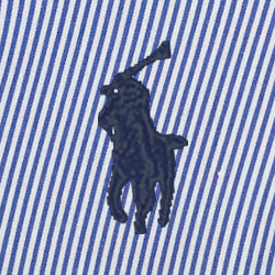 블루/화이트