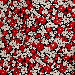 Azul marino/rojo/crema