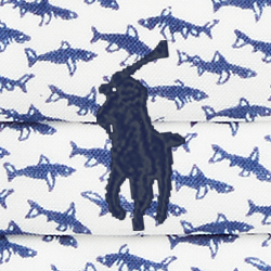 Micro Sharks