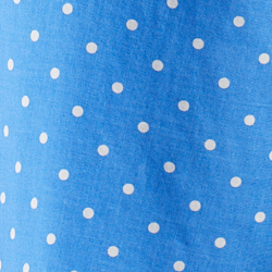 Blue Dot