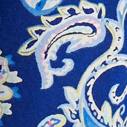 Blue Paisley