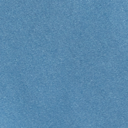 Cornflower