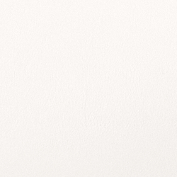 Lux Cream/Marine Navy