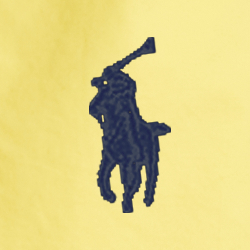Signal Yellow