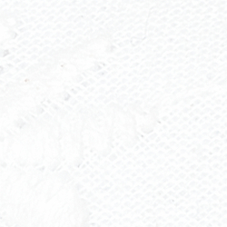 White Eyelet