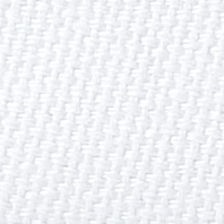 White Canvas