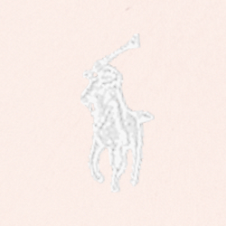 Light Pink & White Pony